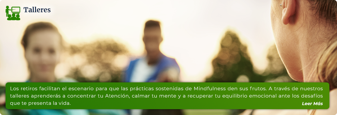 Meditación Guiada Marbella Málaga