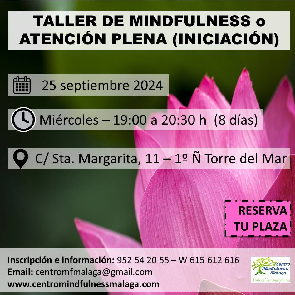 centro mindfulness malaga